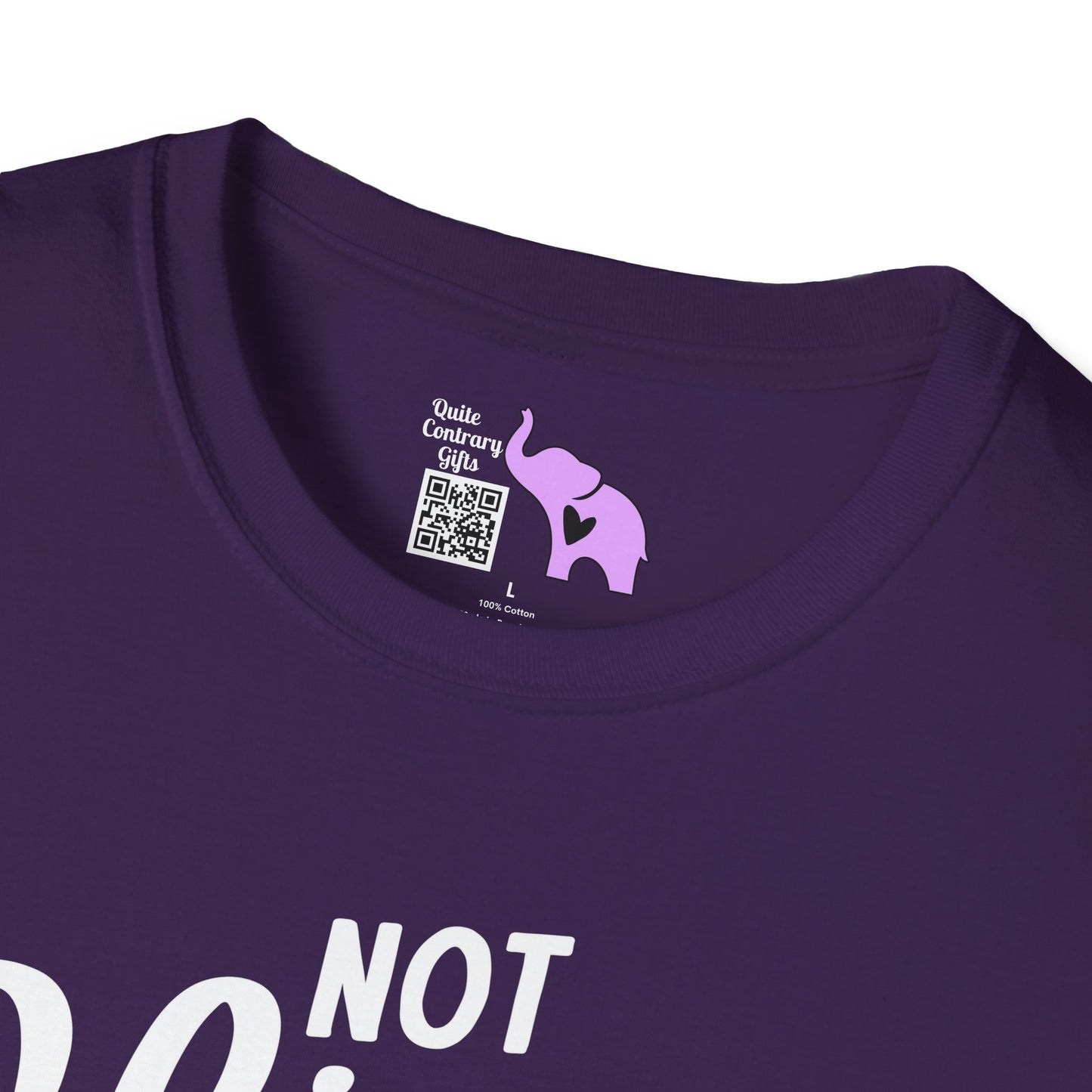 Not Slim Kinda Shady Adult T-shirt