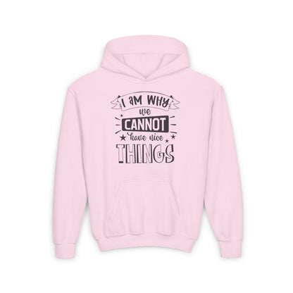 I Am Why We Cannot Have Nice Things Youth Heavy Blend Hoodie