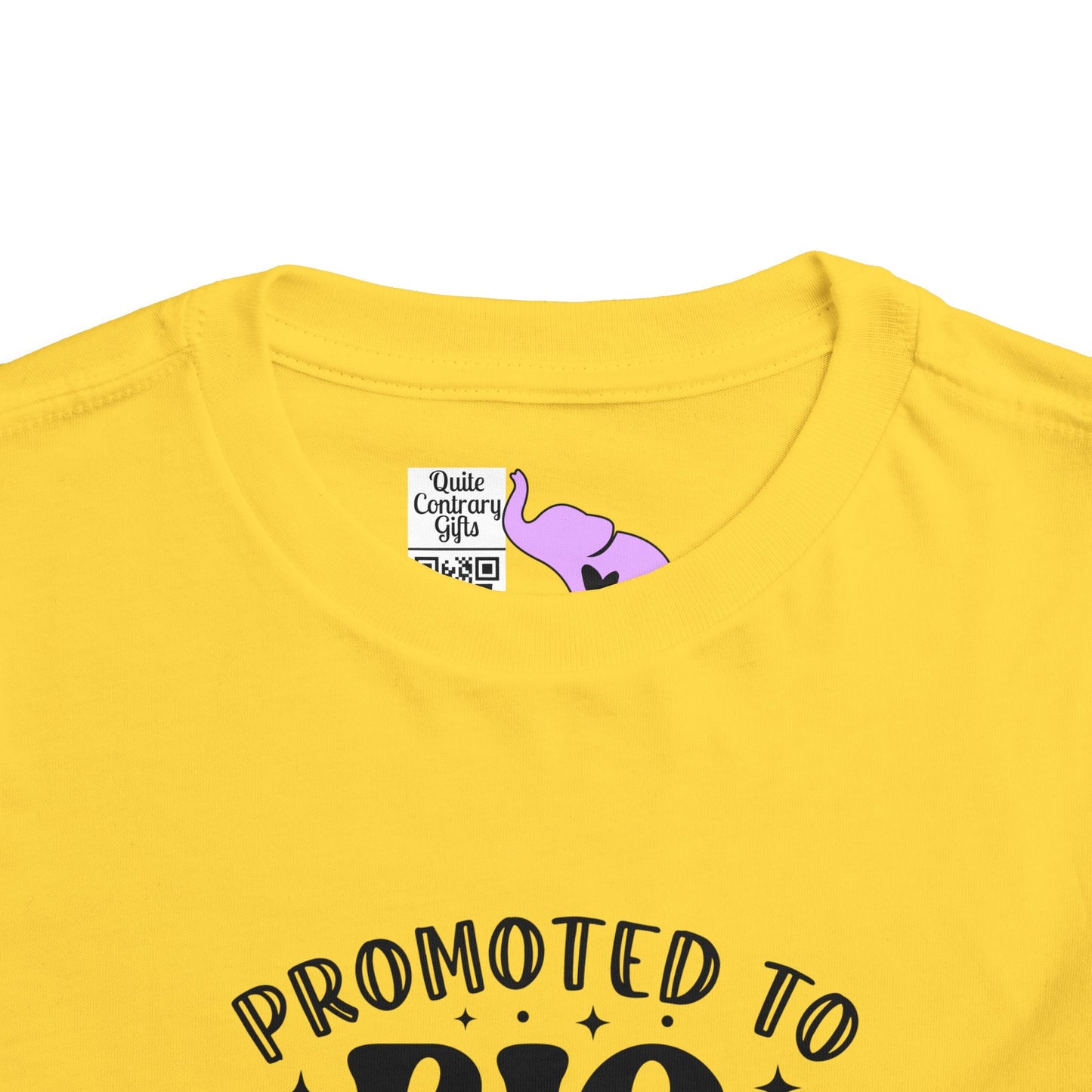 Promoted to Big Sister Toddler Tee
