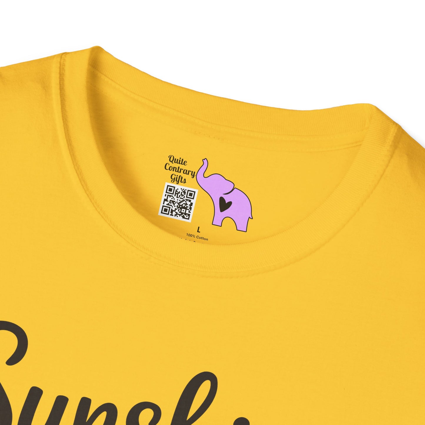 Sunshine Mixed With A Little Hurricane Adult T-shirt