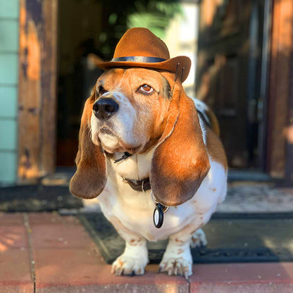 Adjustable Cowboy Hat for Pets