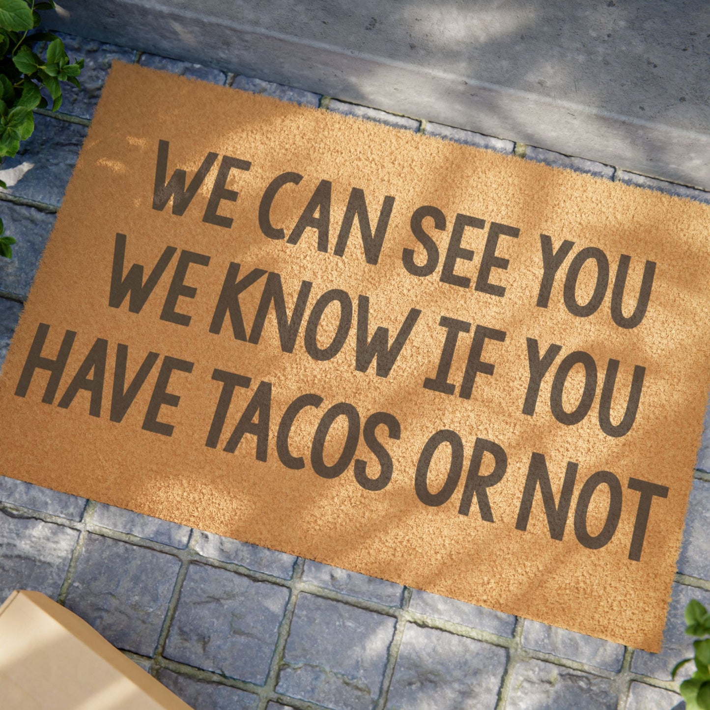 We Can See You We Know If You Have Tacos or Not Coconut Fiber Doormat