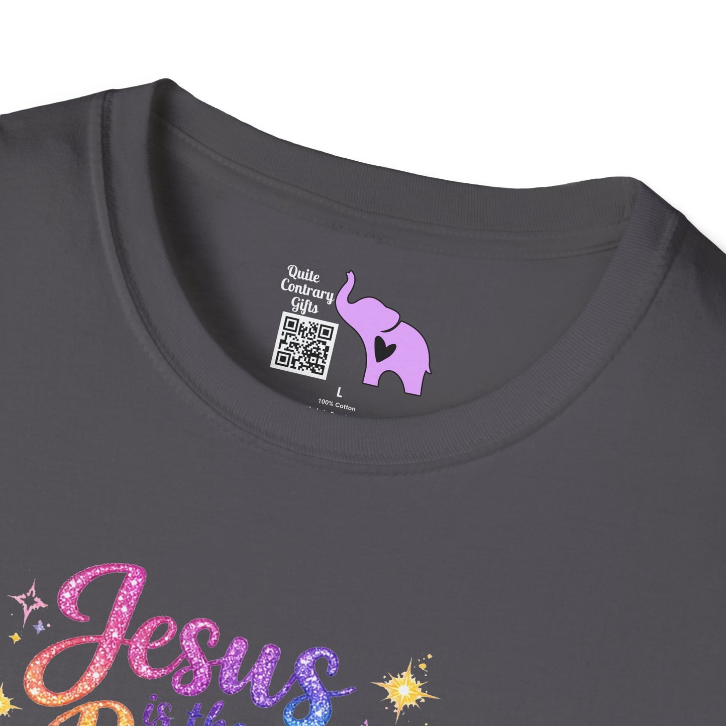 Jesus Is The Reason Adult T-shirt