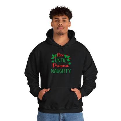 Nice Until Proven Naughty Adult Heavy Blend™ Hooded Sweatshirt