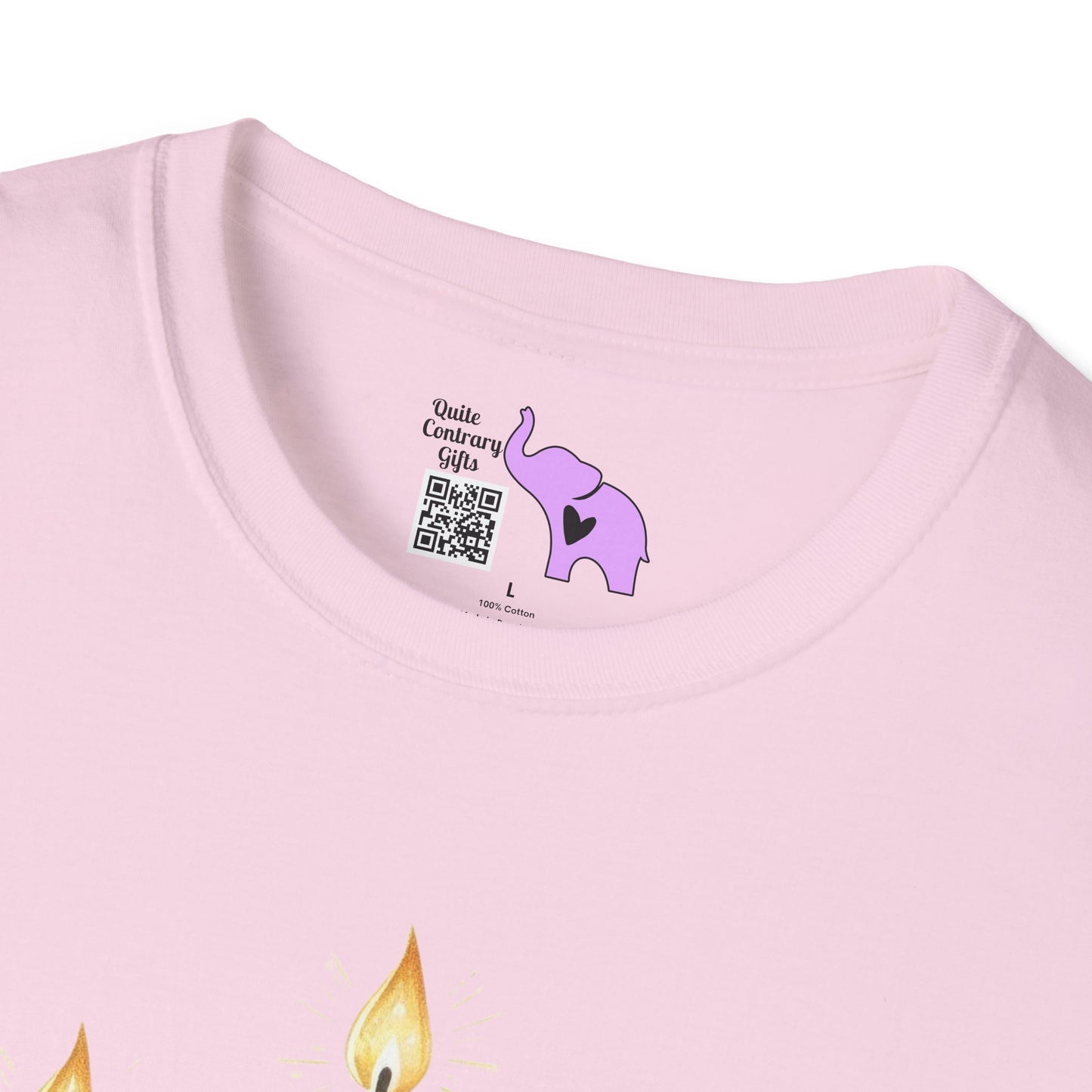Star & Flame Hanukkah Adult T-shirt