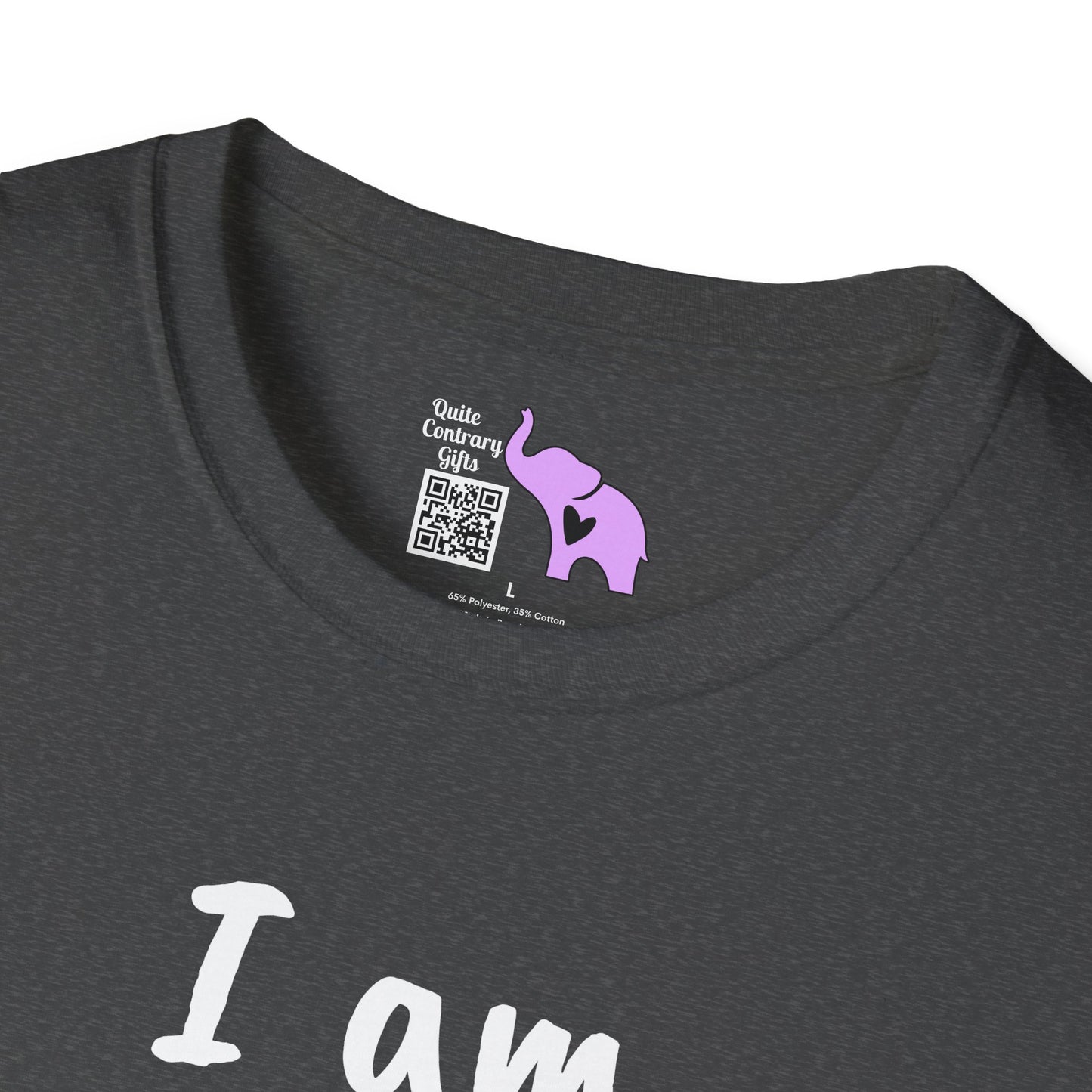 I am Becoming Pessimistic About my Optimism Adult T-shirt