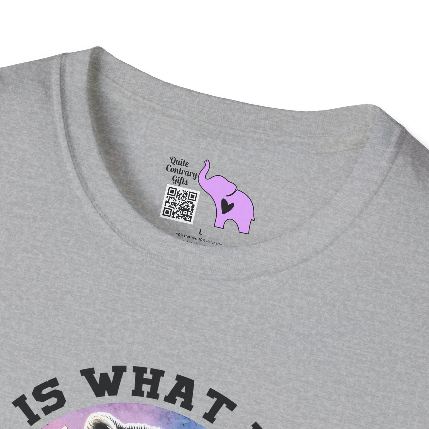 It Is What It Is And It's Not Great Raccoon Adult T-shirt