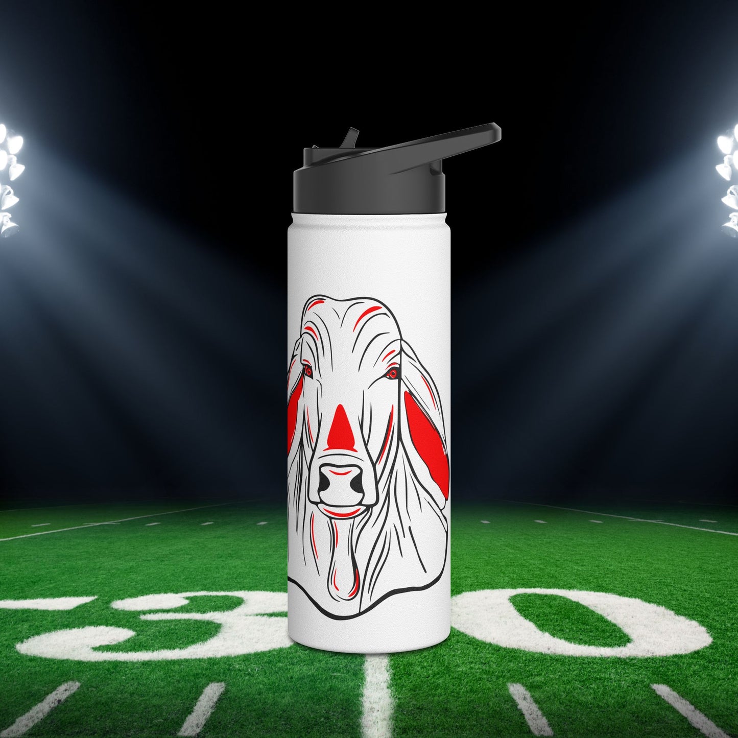 Bellville Brahmas Stainless Steel Water Bottle