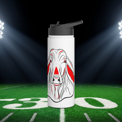 Bellville Brahmas Stainless Steel Water Bottle
