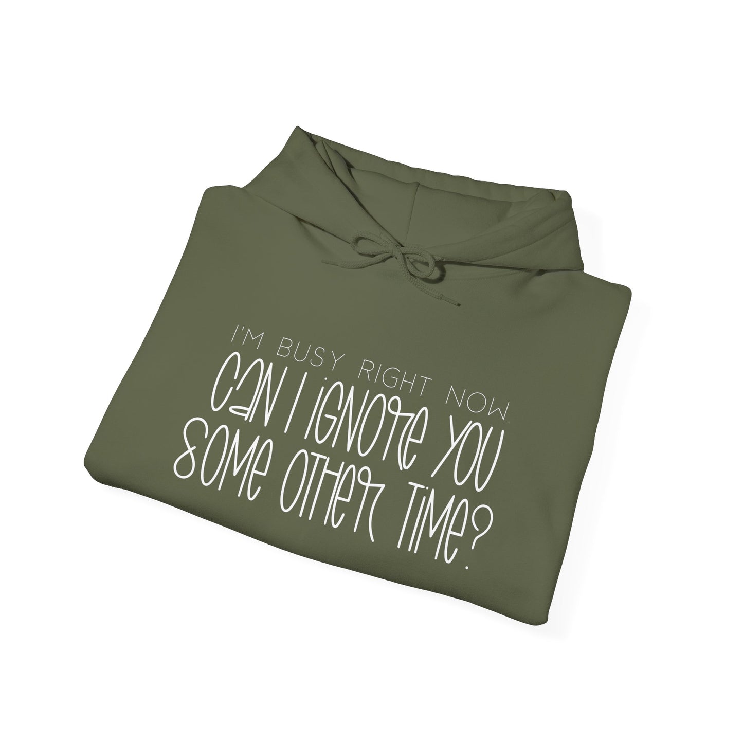 I'm Busy Right Now Can I Ignore You Later? Heavy Blend™ Hooded Sweatshirt