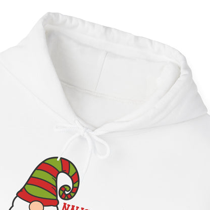 Naughty and I Gnome It Adult Heavy Blend™ Hooded Sweatshirt