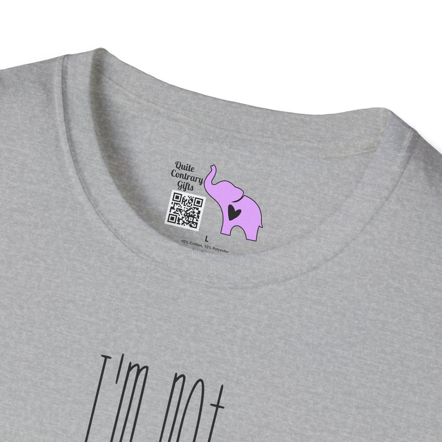 I'm Not Always Sarcastic Sometimes I'm Asleep Adult T-shirt