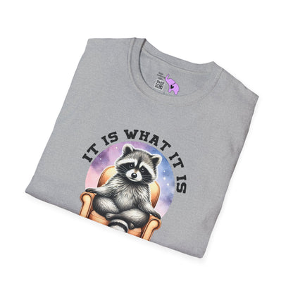 It Is What It Is And It's Not Great Raccoon Adult T-shirt