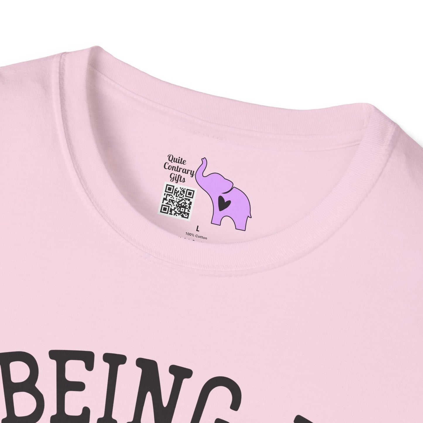 Being A Functional Adult Every Day Seems A Bit Excessive Adult T-shirt