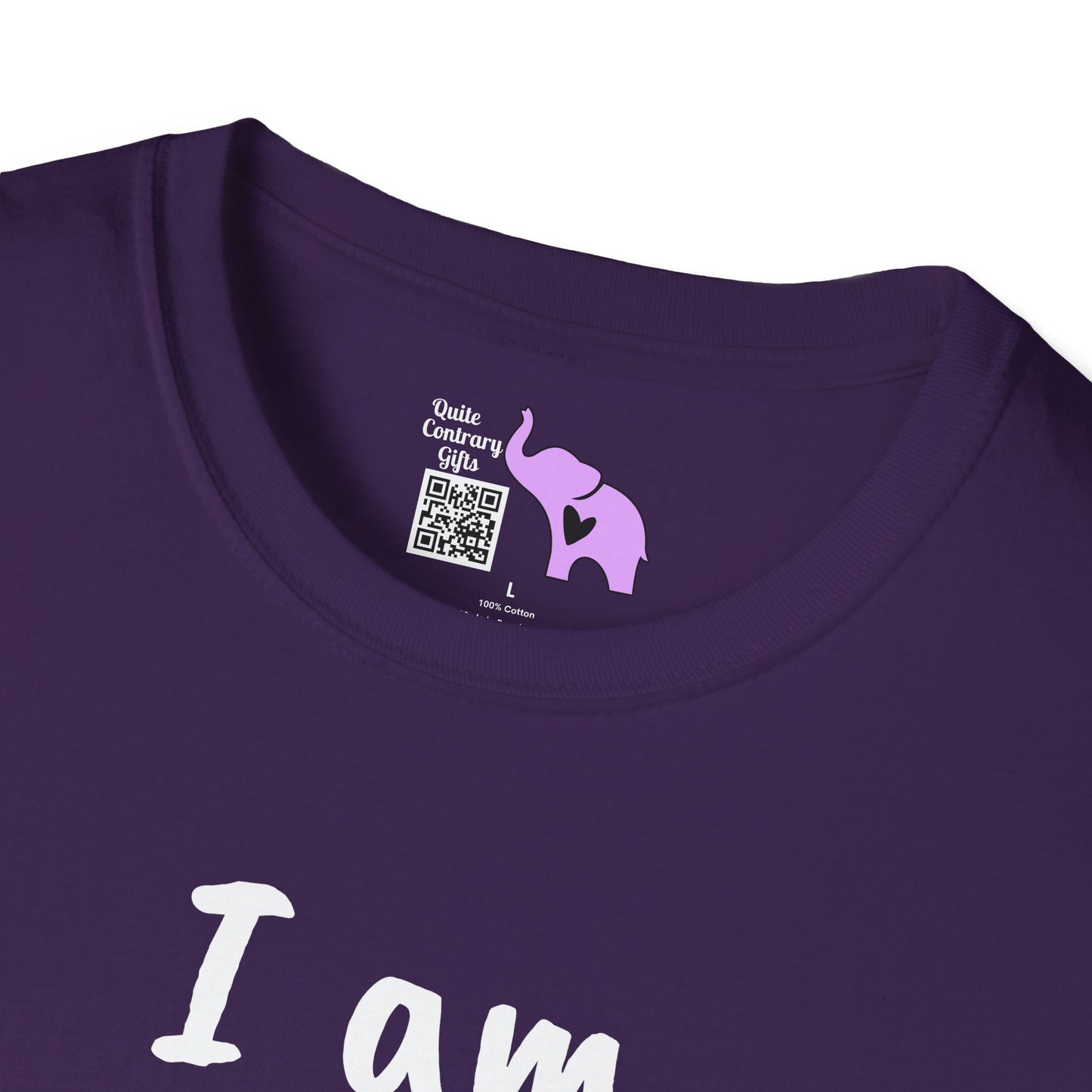 I am Becoming Pessimistic About my Optimism Adult T-shirt