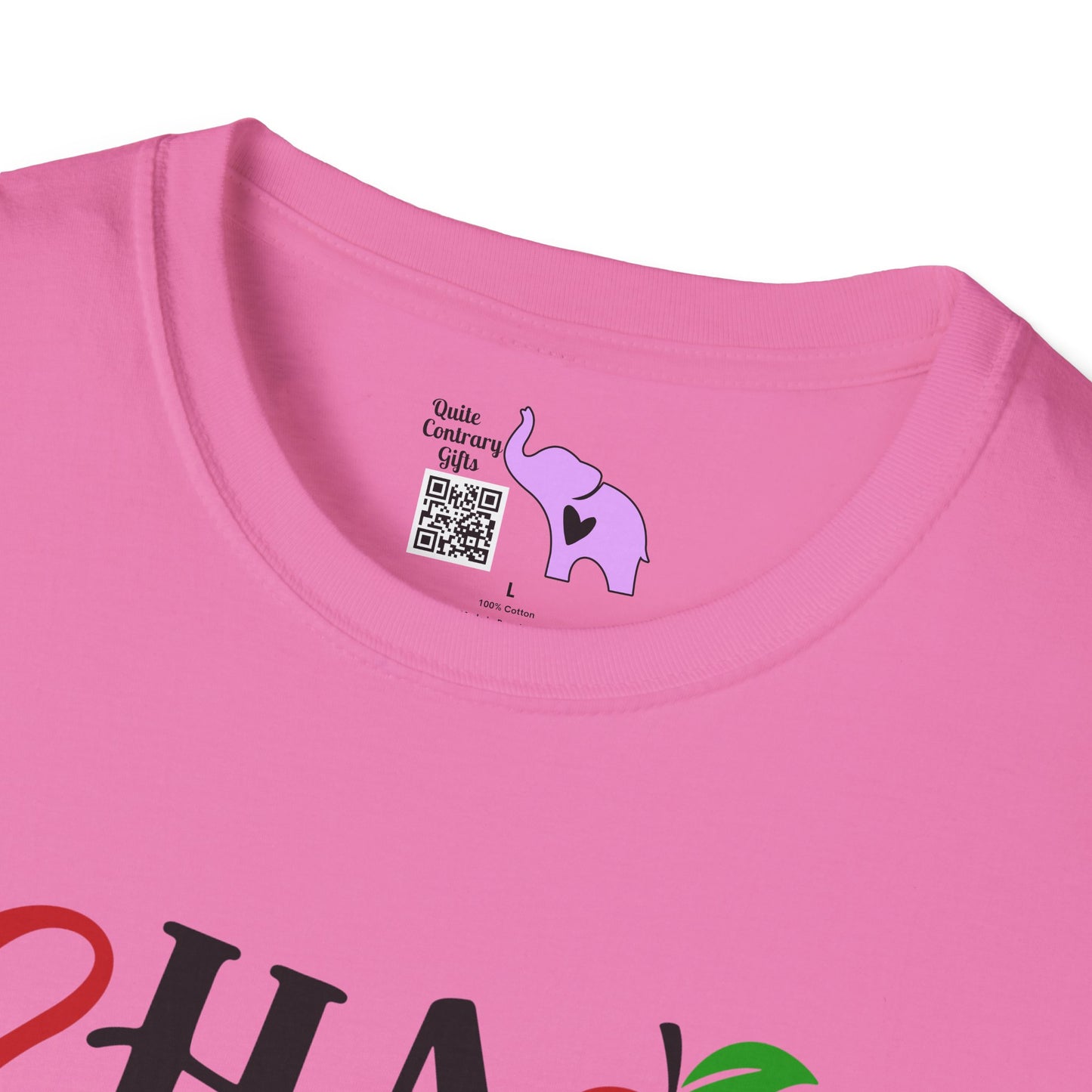 Chaos Coordinator Adult T-shirt