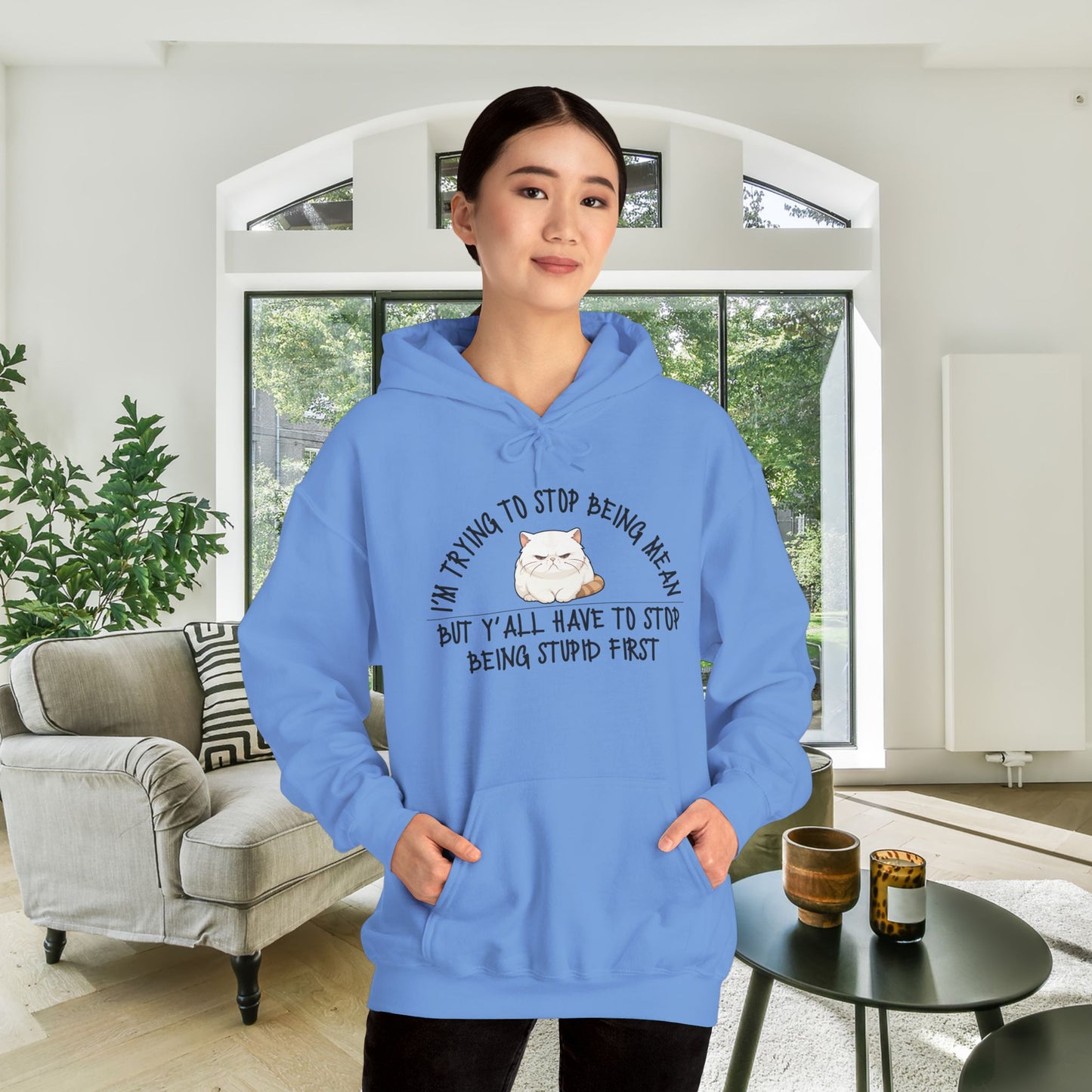 I'm Trying To Stop Being Mean... Heavy Blend™ Hooded Sweatshirt