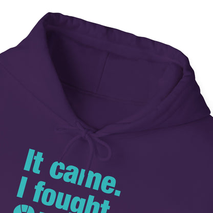 It Came I Fought I Won Cervical Cancer Awareness Adult Heavy Blend™ Hoodie
