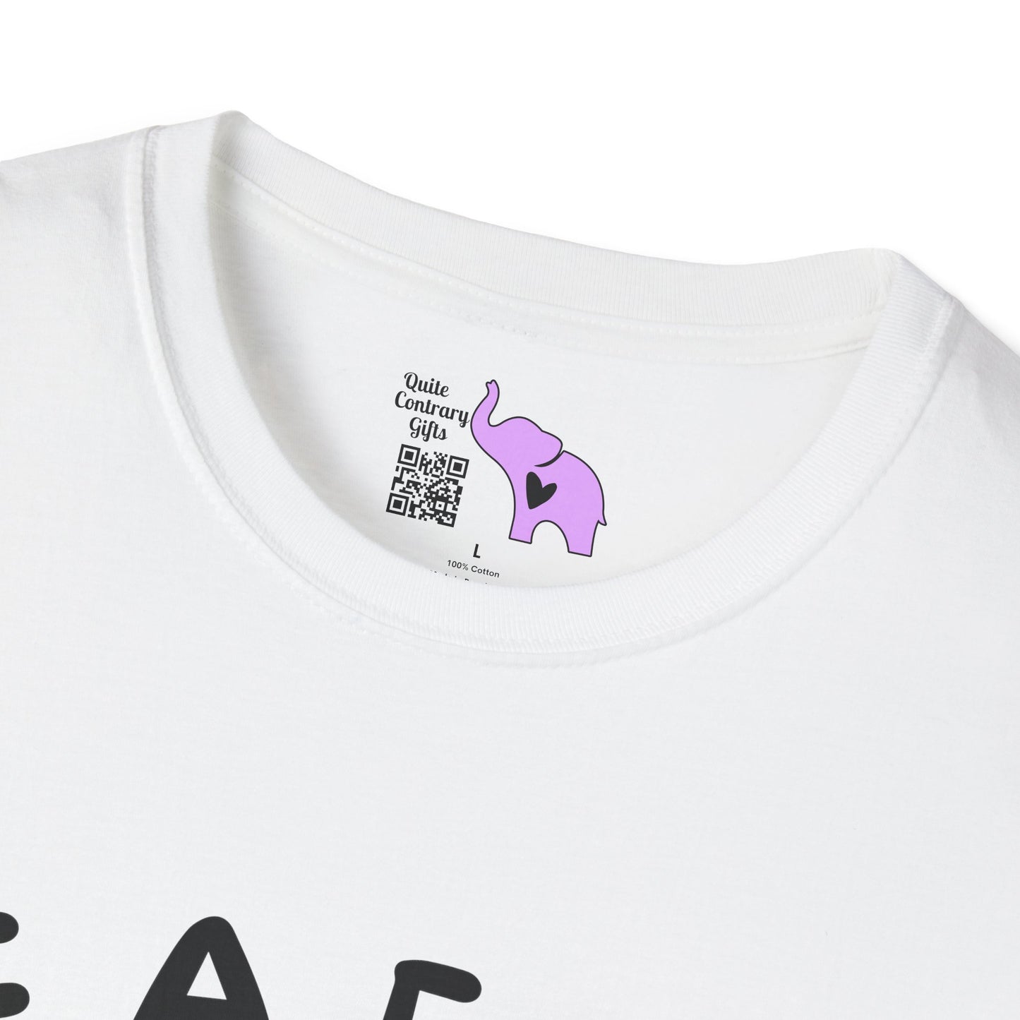 Fiddle Around & Find Out Adult T-shirt