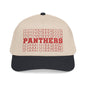 Panthers (Stacked) Mid Profile Baseball Cap