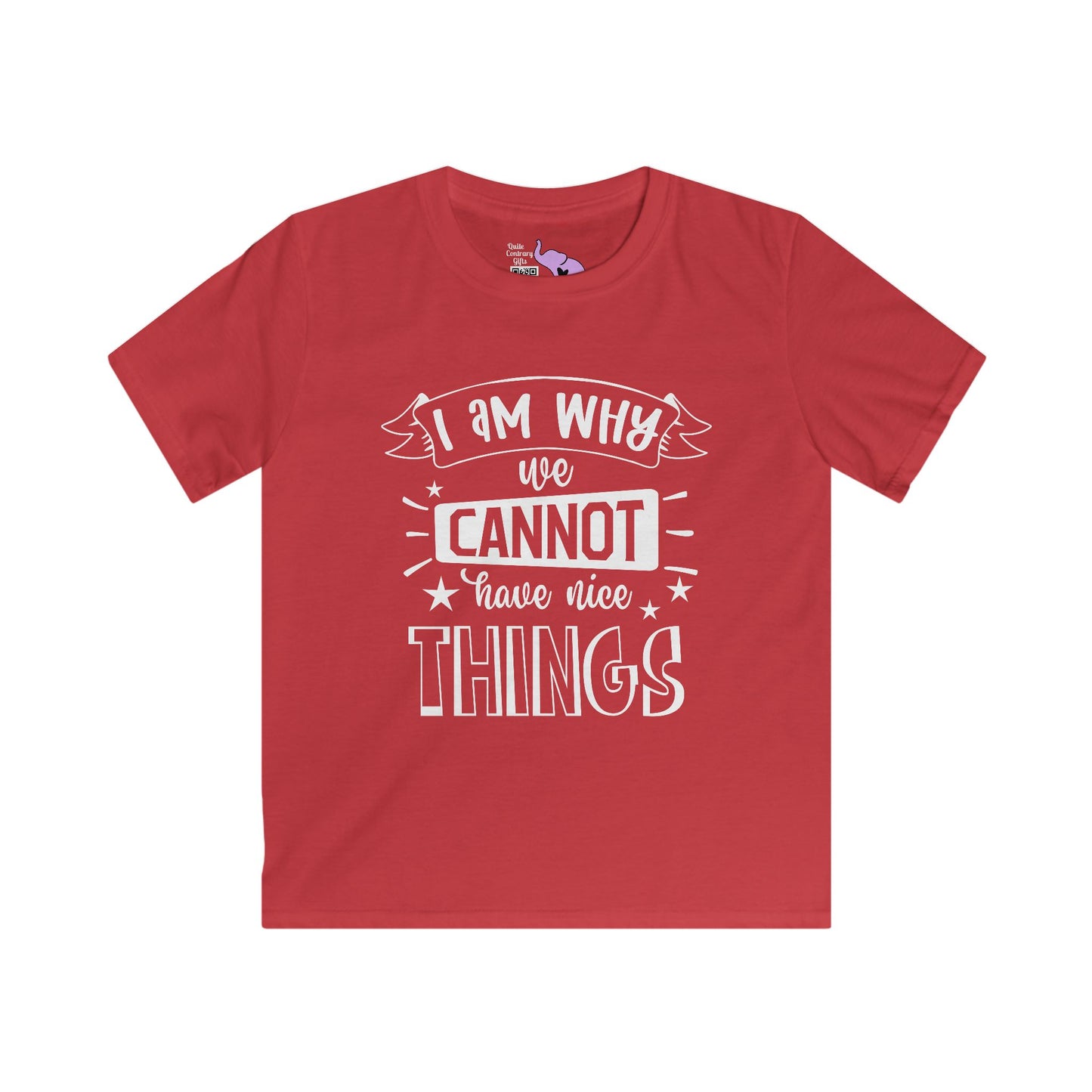 I Am Why We Cannot Have Nice Things Youth Softstyle Tee
