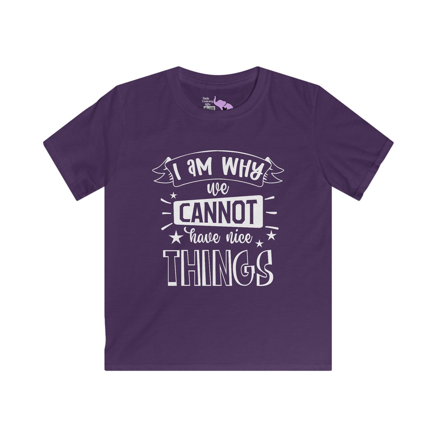 I Am Why We Cannot Have Nice Things Youth Softstyle Tee