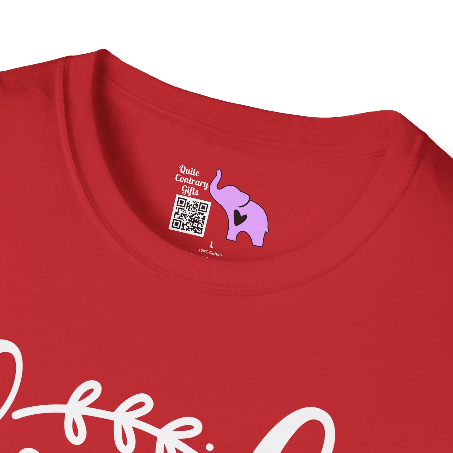 Kinda Classy Kinda Hood Adult T-shirt