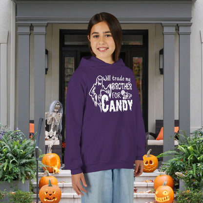 Will Trade My Brother For Candy Youth Heavy Blend Hoodie