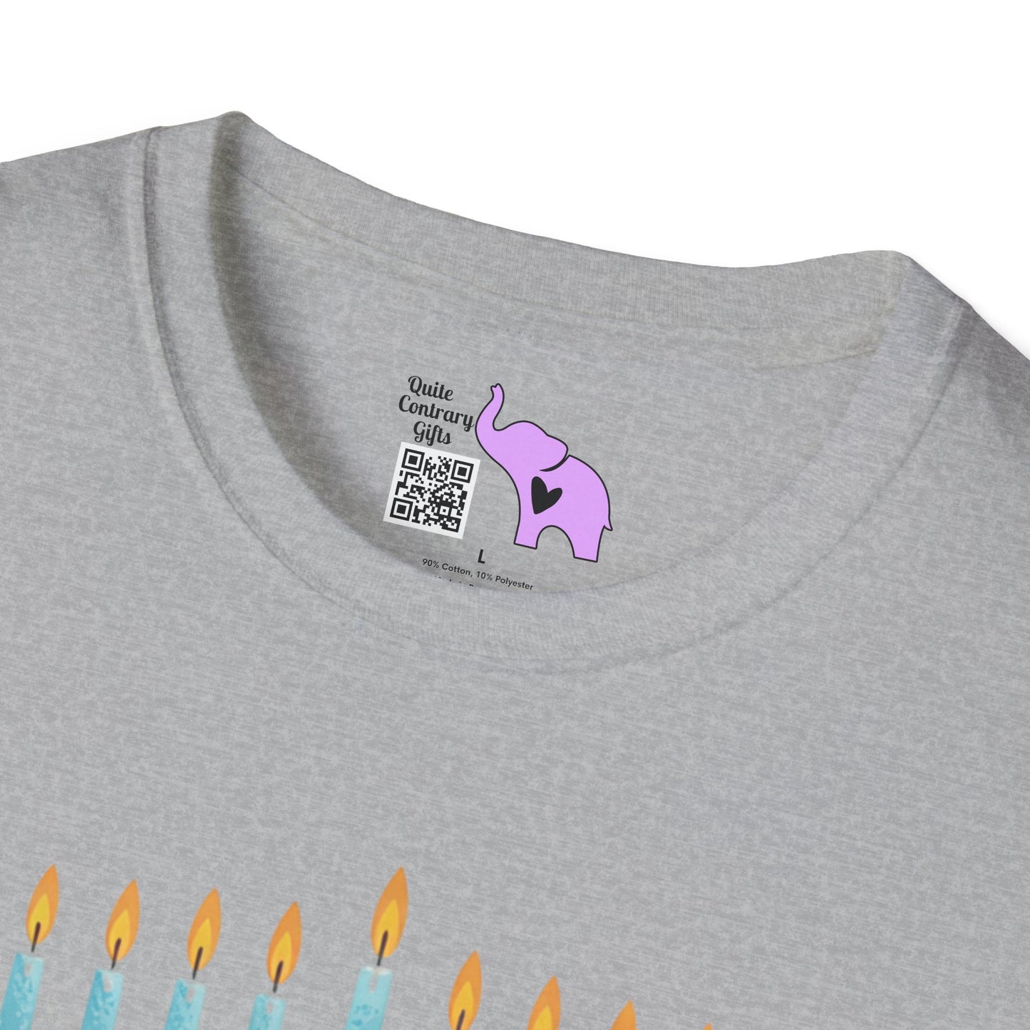 Love & Light Menorah Adult T-shirt