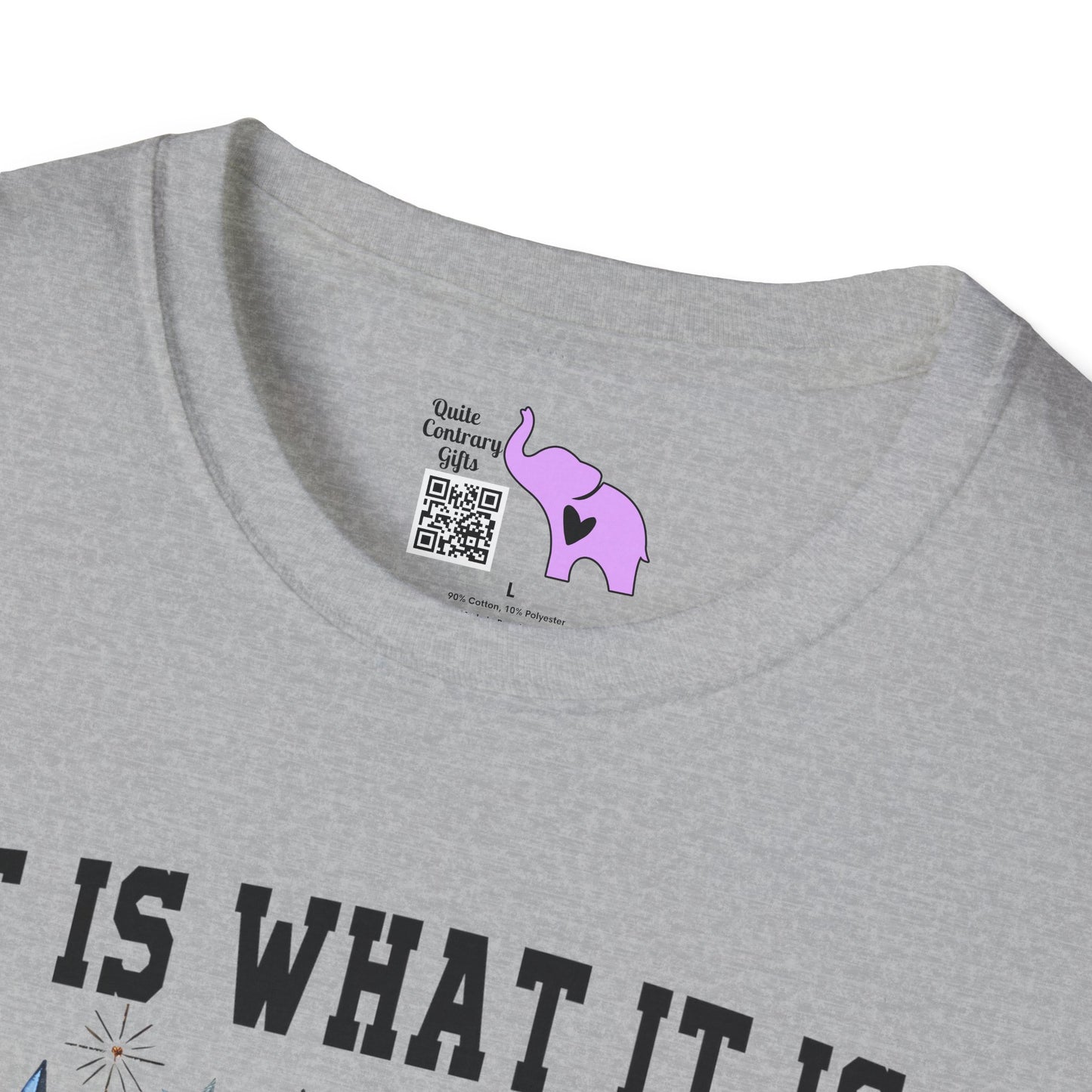 It Is What It Is And It's Not Great Racoon (2) Adult T-shirt