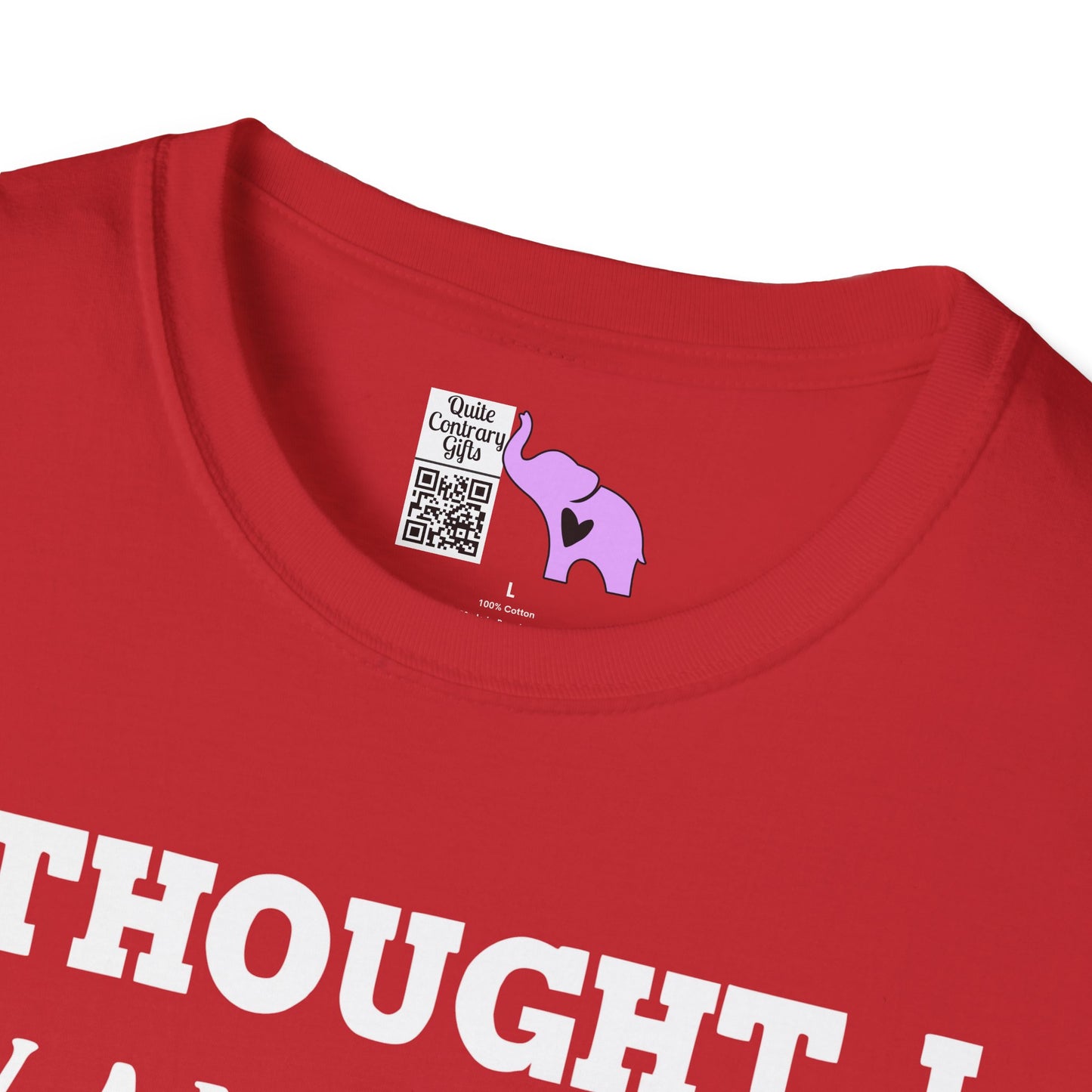 I Thought I Wanted A Career Turns Out I Just Wanted A Paycheck Adult T-shirt