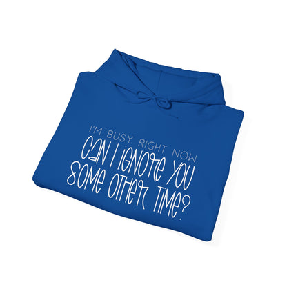 I'm Busy Right Now Can I Ignore You Later? Heavy Blend™ Hooded Sweatshirt