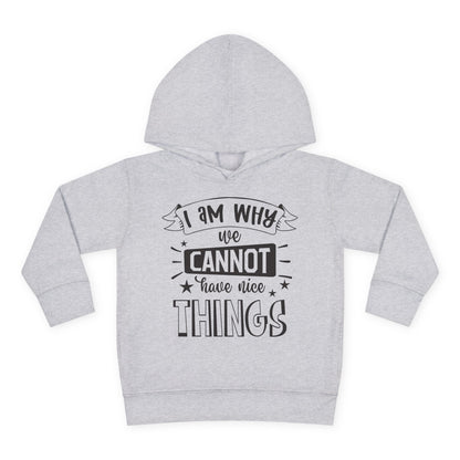 I Am Why We Cannot Have Nice Things Toddler Hoodie