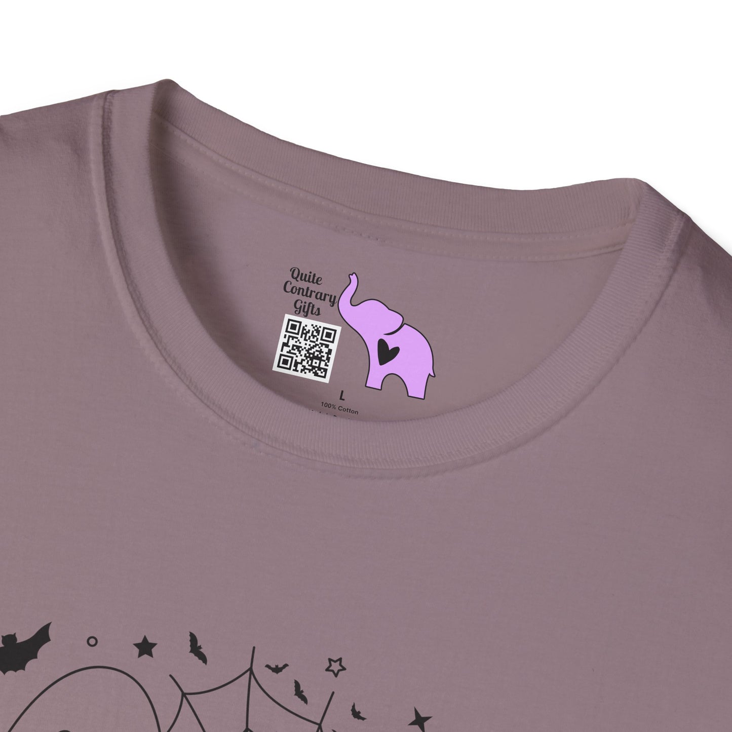 Spooky Season (Ghost & Spider Web Adult T-shirt