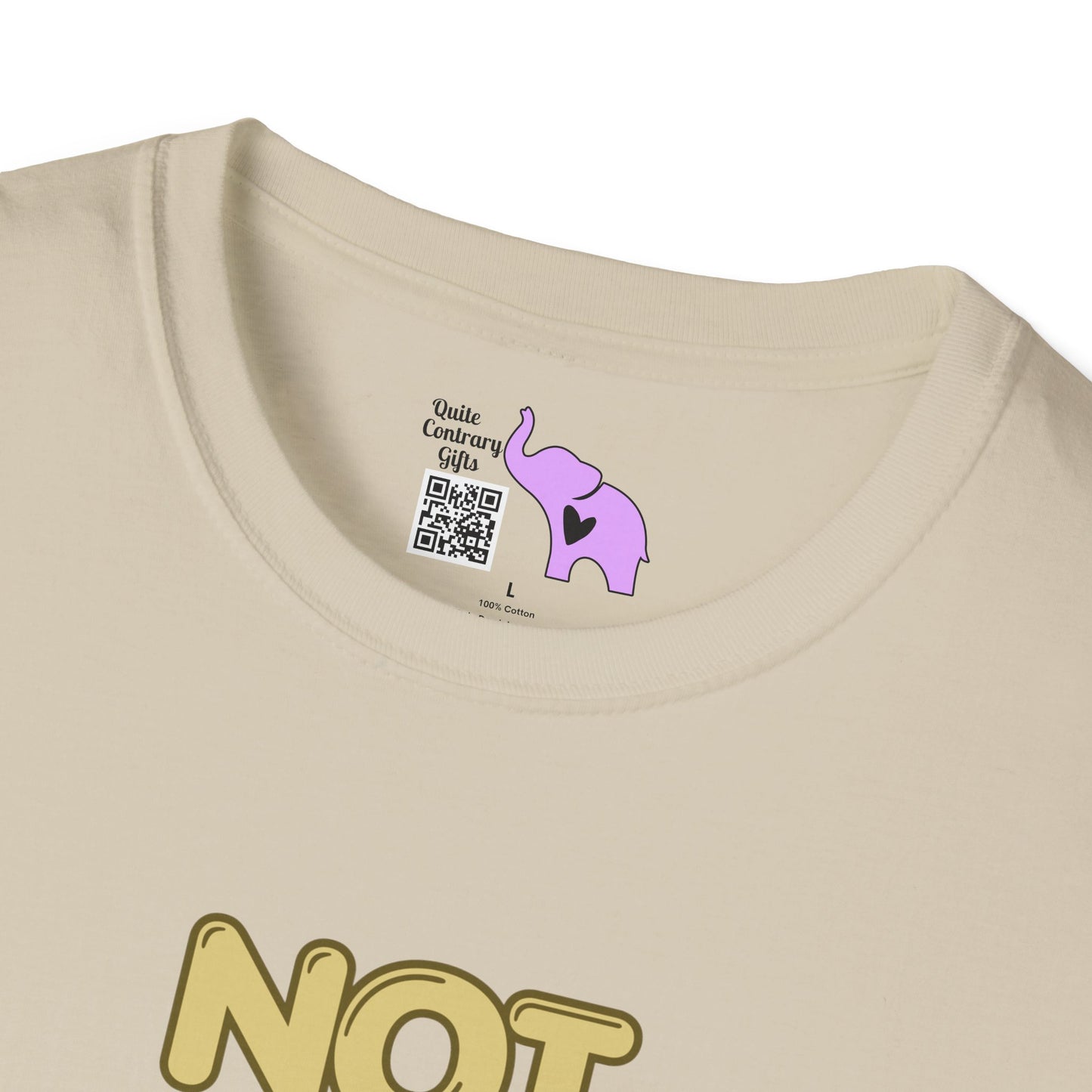 Not Friendly Do Not Touch T-shirt