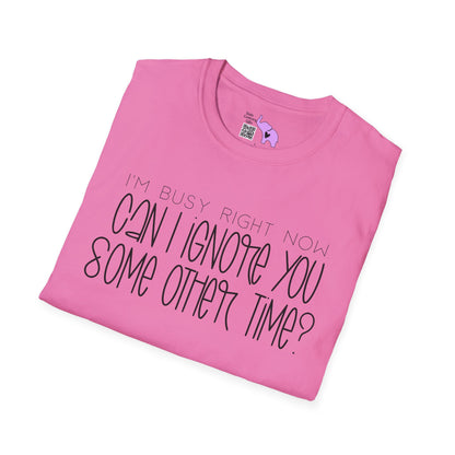 I'm Busy Right Now Can I Ignore You Some Other Time Adult T-shirt