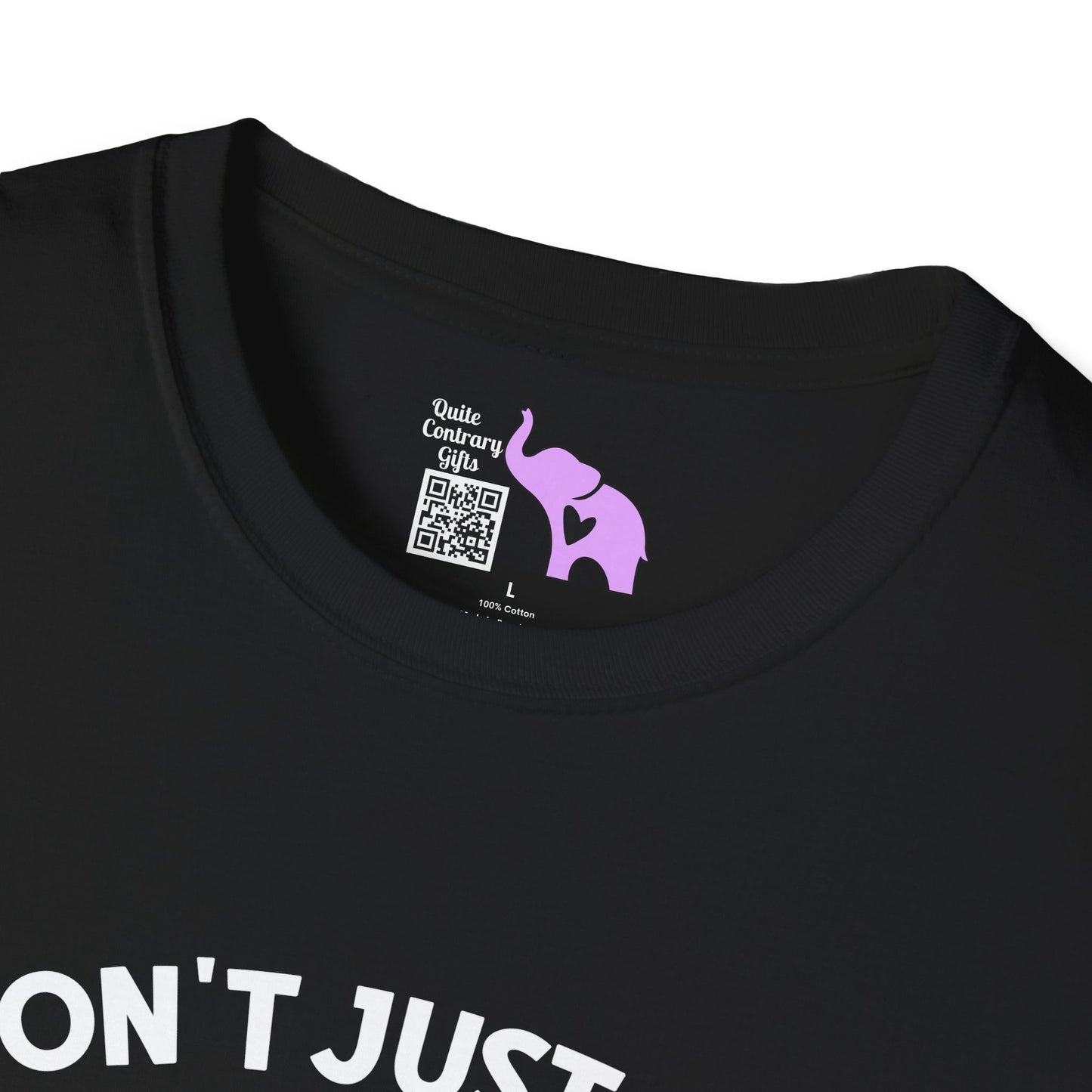 I Don't Just Ride On The Crazy Train...I Drive It Adult T-shirt