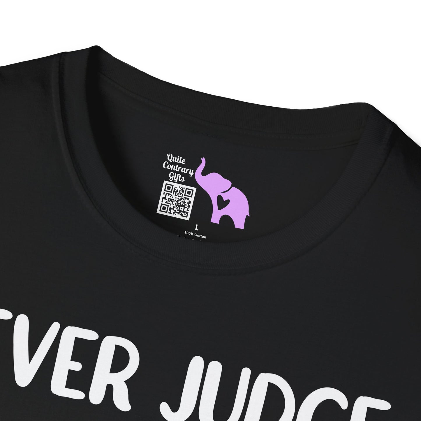 Never Judge Someone By The Visibility Of Their Illness Adult T-shirt