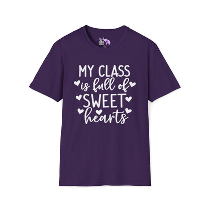 My Class is Full of Sweet Hearts Adult T-shirt