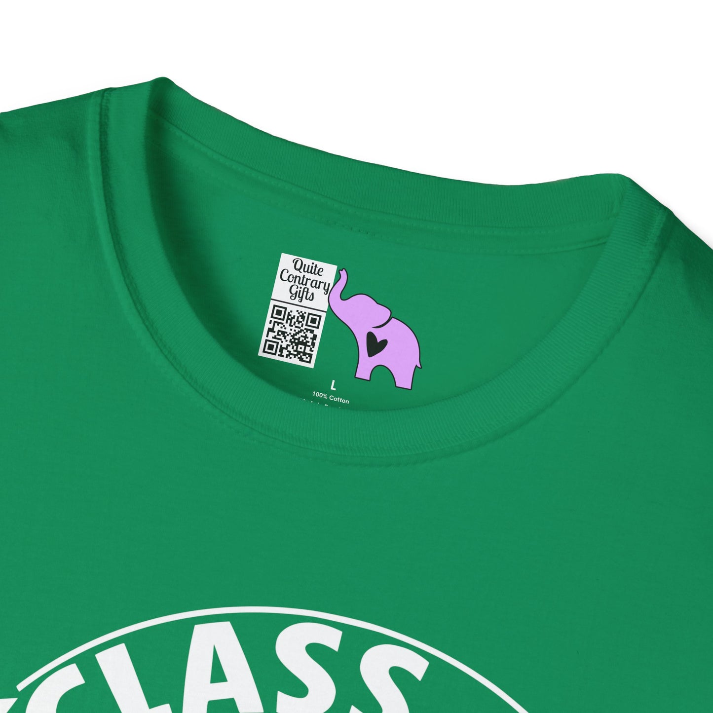 Class of 2027 Senior (Arch) Adult T-shirt