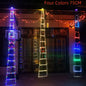 North Pole Ladder Lights