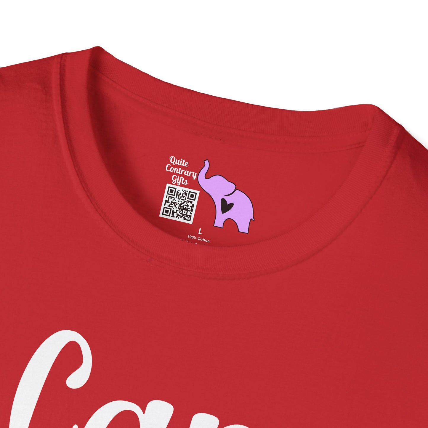 I Came I Saw There Were People Adult T-shirt