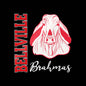 Bellville Vertical Fury, White Decal