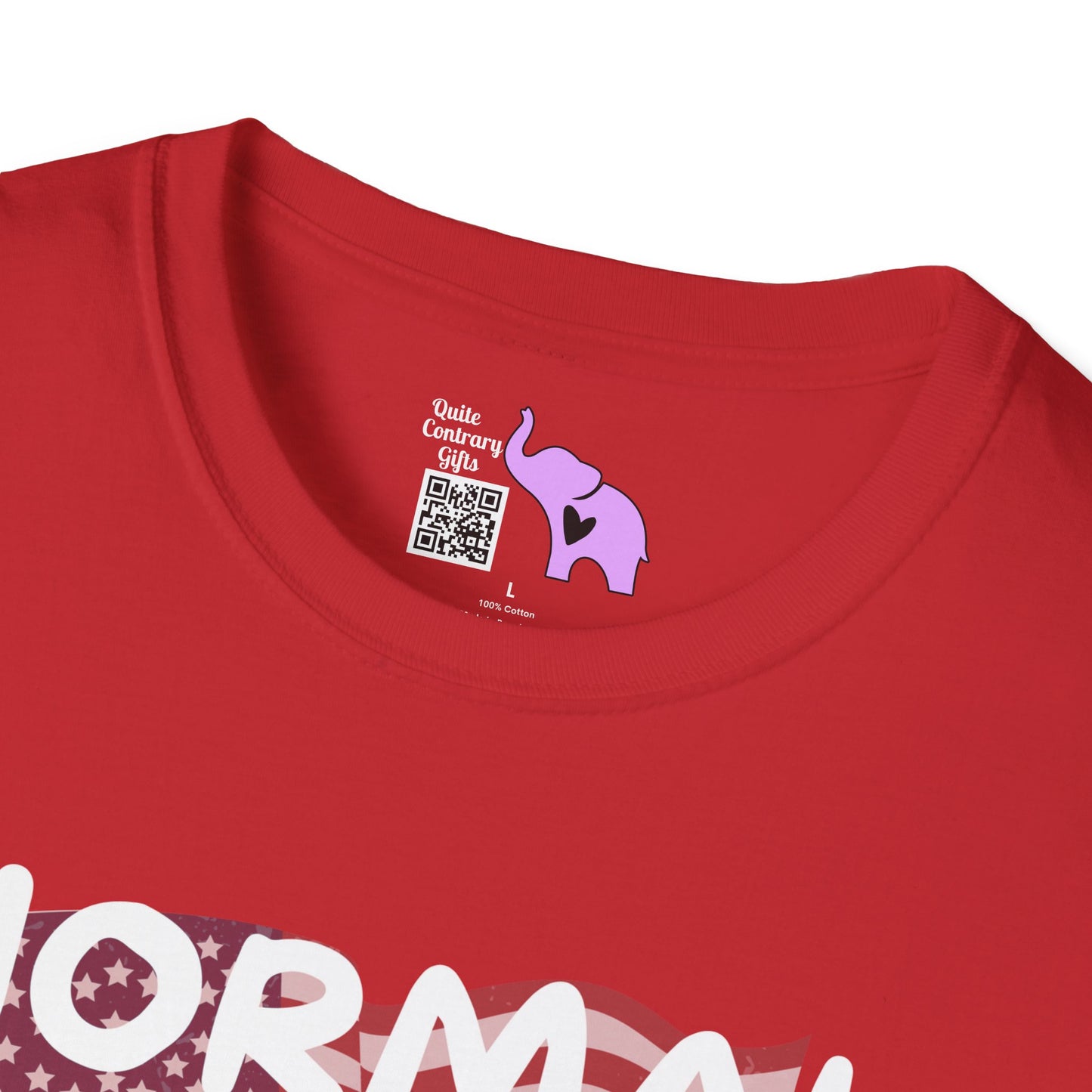 Normal Isn't Coming Back But Jesus Is Adult T-shirt
