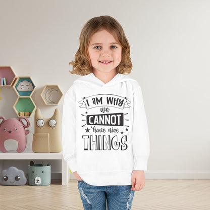 I Am Why We Cannot Have Nice Things Toddler Hoodie