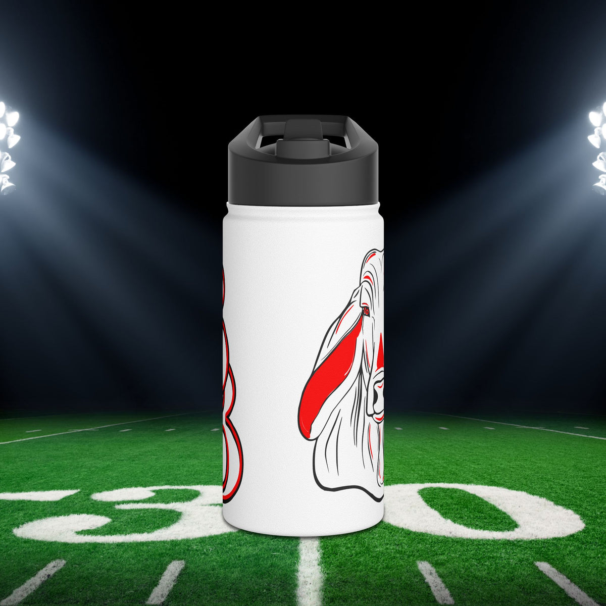 Bellville Brahmas Stainless Steel Water Bottle