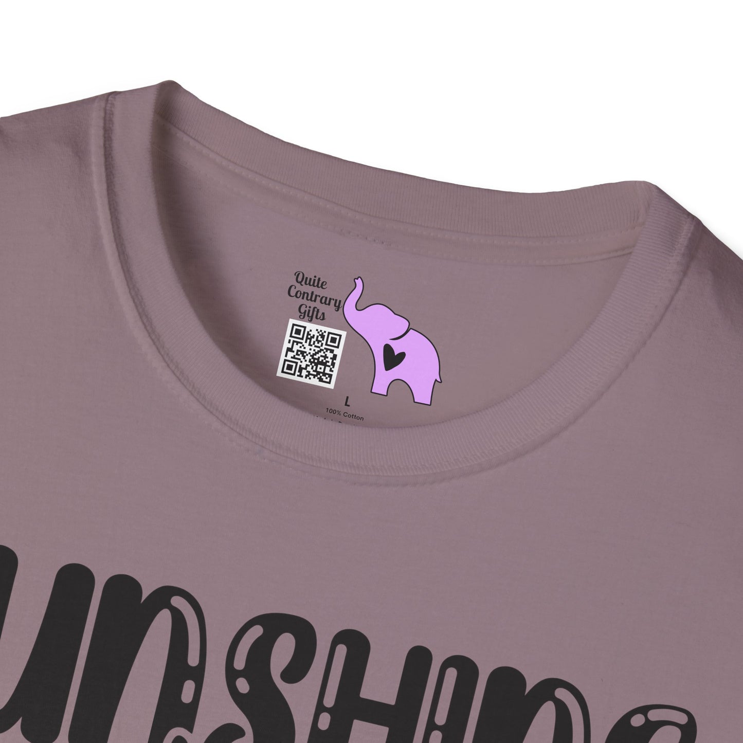 Sunshine Mixed With A Little Hurricane Adult T-shirt