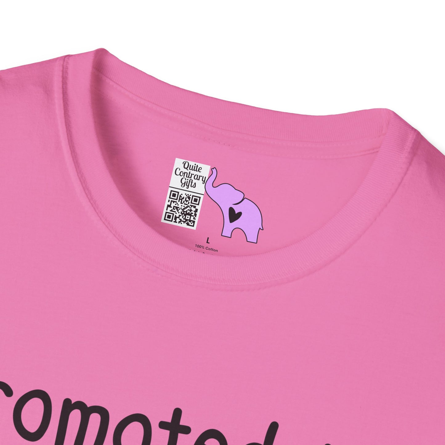 Promoted To Grandma 2026 Adult T-shirt