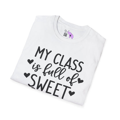 My Class is Full of Sweet Hearts Adult T-shirt