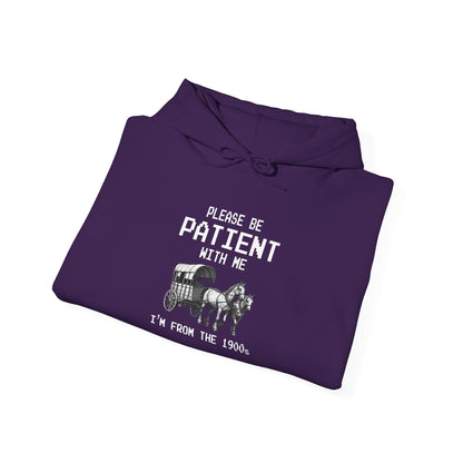 Please Be Patient With Me (Carriage) Heavy Blend™ Hooded Sweatshirt